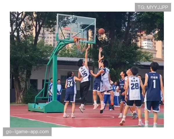 篮球比赛开始规则解析：跳球环节与比赛启动程序